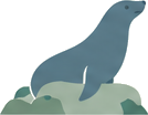 Harbor seal illustration
